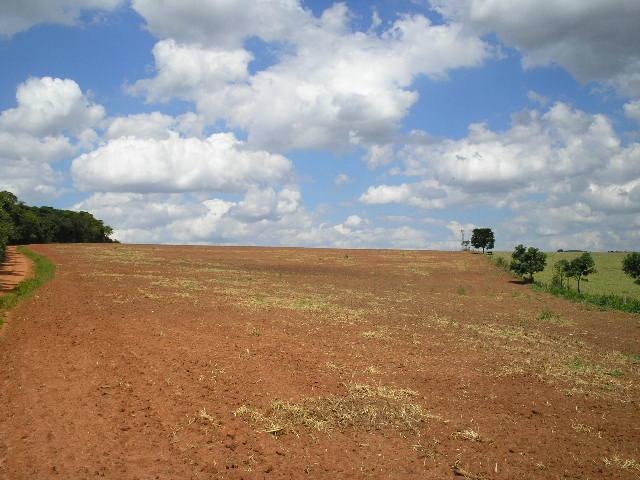 Fazenda-Sítio-Chácara, 260 hectares - Foto 2