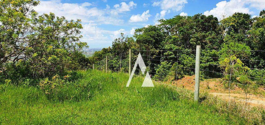 Terreno à venda, 21529M2 - Foto 34