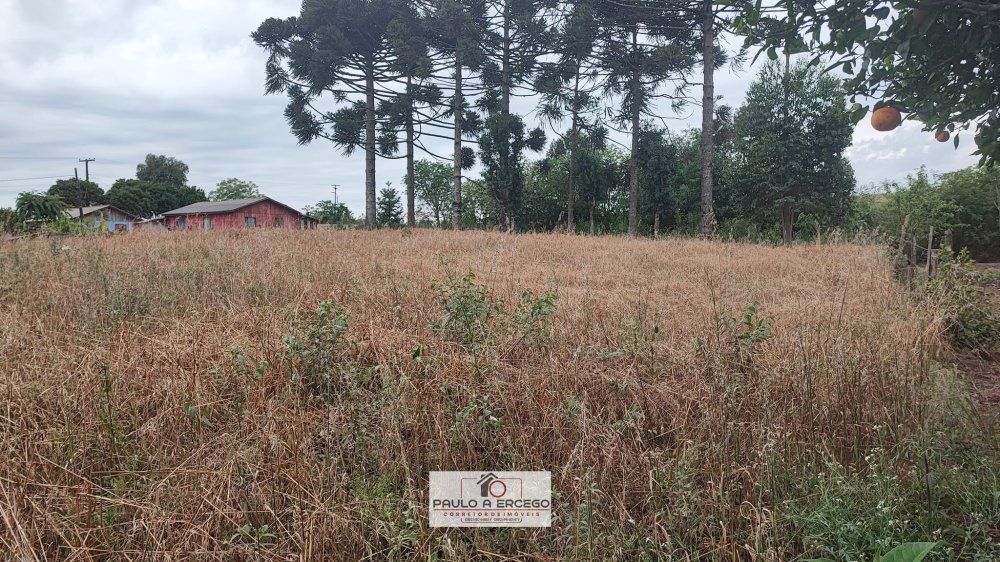 Fazenda à venda com 1 quarto, 1780m² - Foto 1