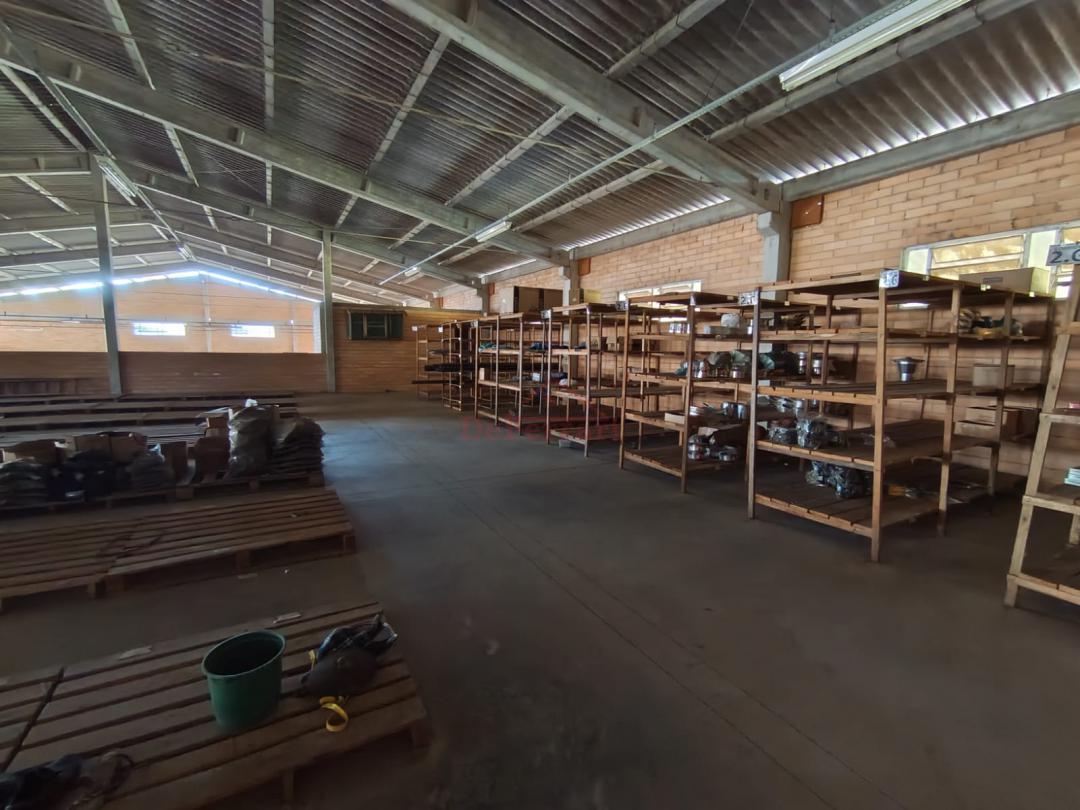 Depósito-Galpão, 4200 m² - Foto 5