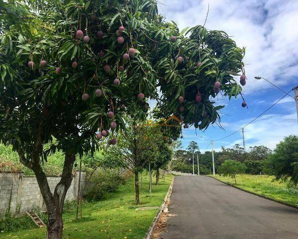 Loteamento e Condomínio à venda, 1800M2 - Foto 15