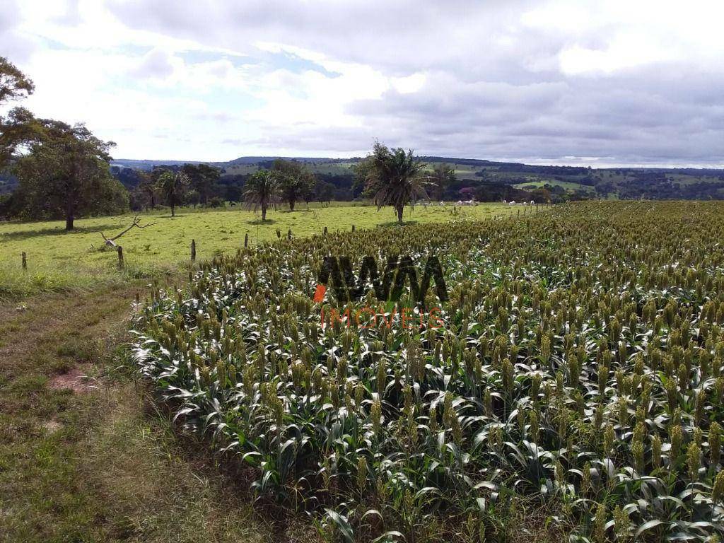 Fazenda à venda, 5008300M2 - Foto 14