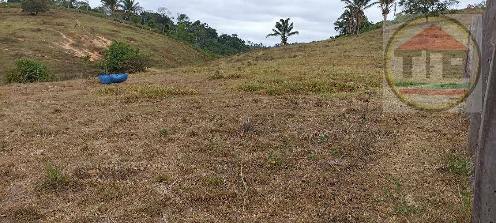 Fazenda à venda com 2 quartos, 2032800M2 - Foto 21