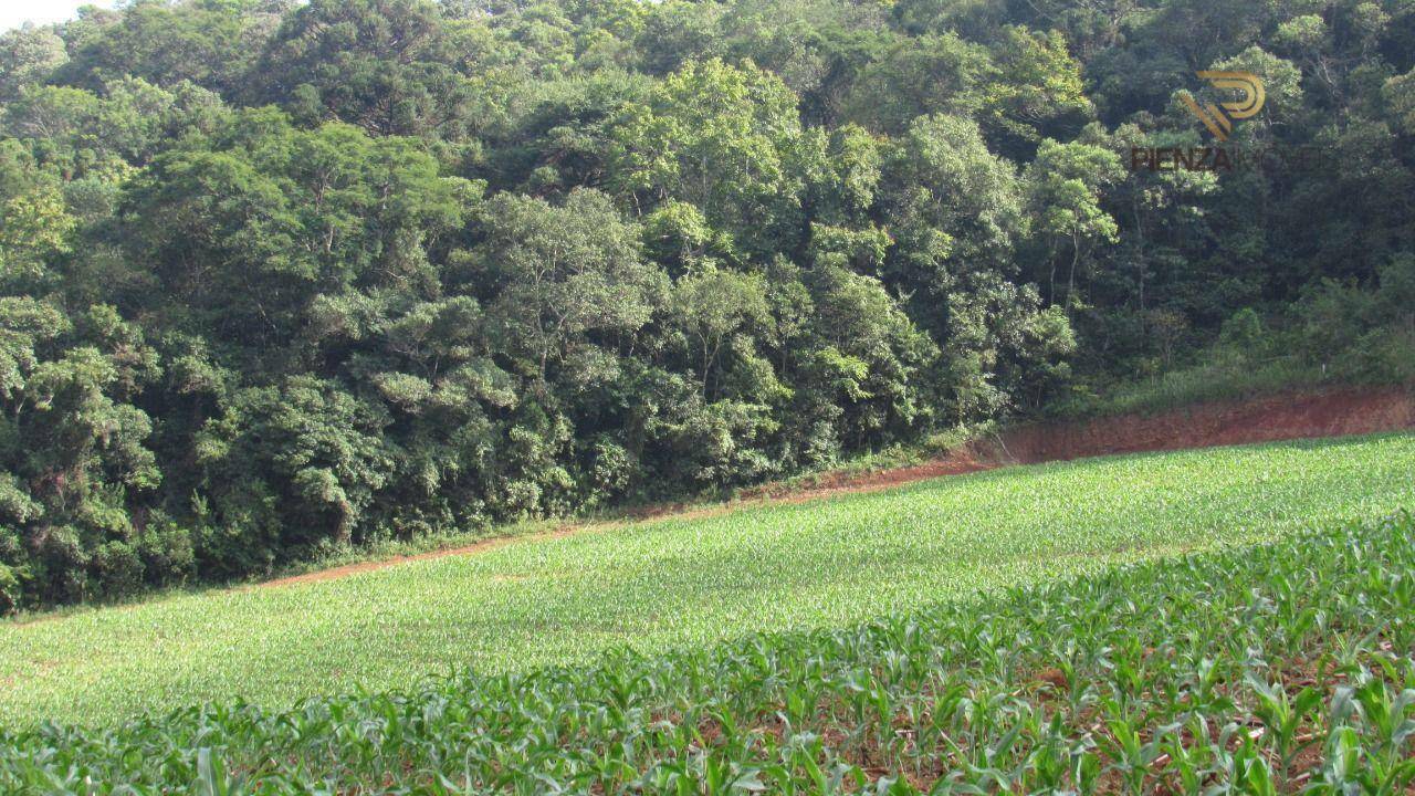 Terreno à venda, 98000M2 - Foto 23