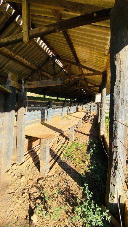 Fazenda, 286 hectares - Foto 13