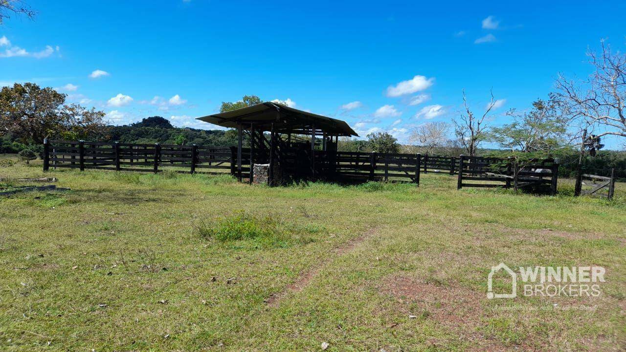 Fazenda à venda com 2 quartos, 4500000M2 - Foto 56