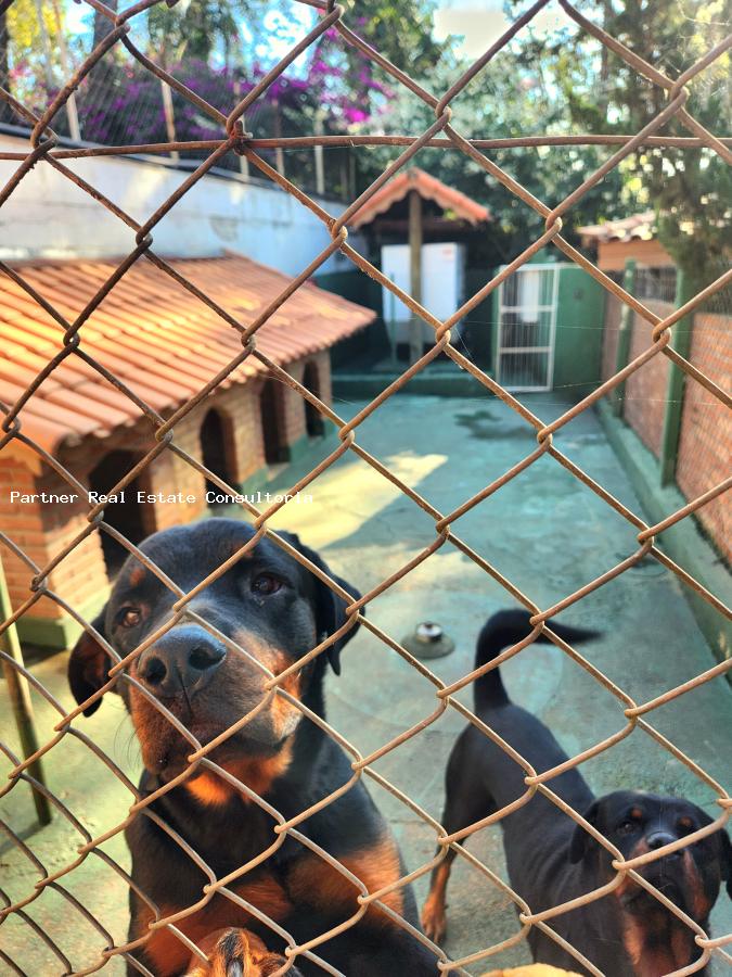 Fazenda à venda com 4 quartos, 38274m² - Foto 40