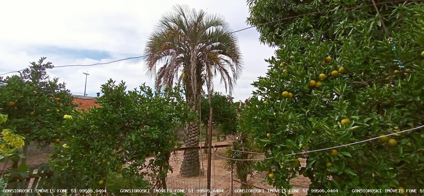 Terreno à venda, 560m² - Foto 1