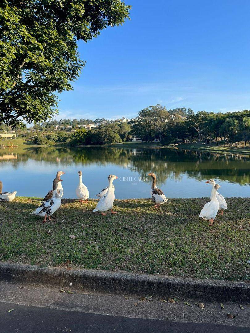 Loteamento e Condomínio à venda, 780M2 - Foto 5