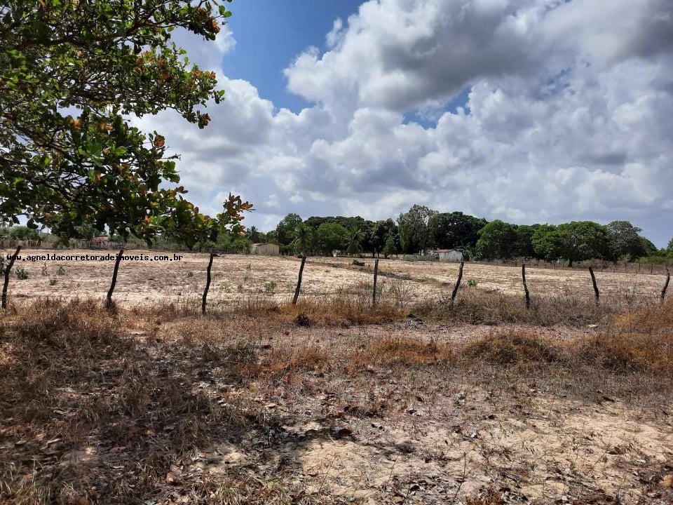 Fazenda à venda com 2 quartos, 14m² - Foto 12