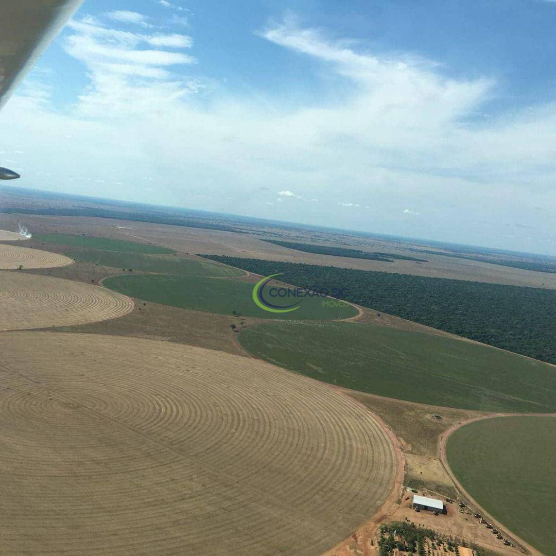 Fazenda à venda com 4 quartos, 56140000M2 - Foto 7