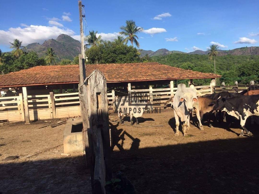 Fazenda à venda, 5469200M2 - Foto 72