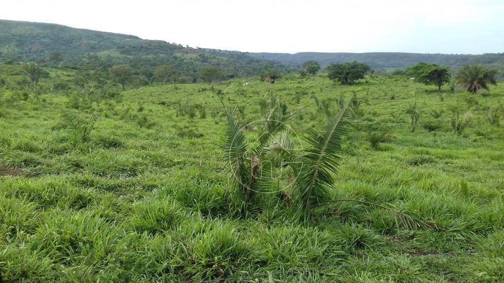 Fazenda à venda, 31460000M2 - Foto 1