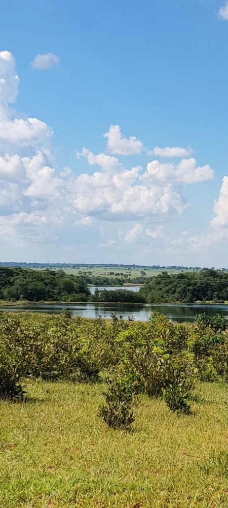 Fazenda à venda, 537m² - Foto 3