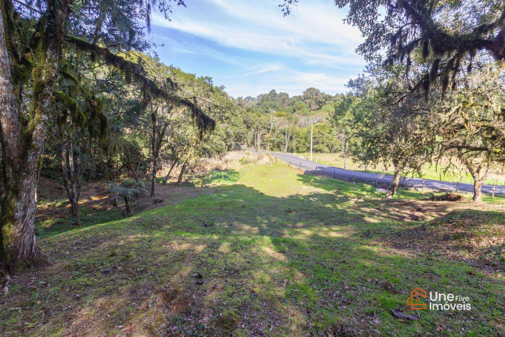 Terreno, 3799 m² - Foto 11