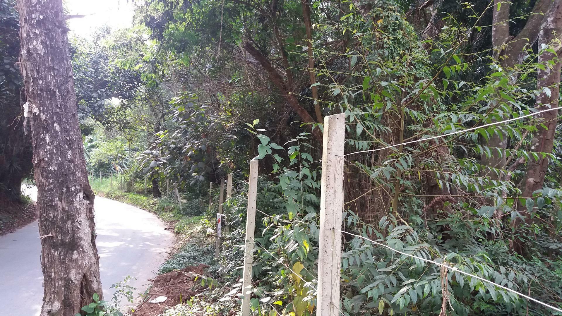 Terreno, 6769 m² - Foto 4