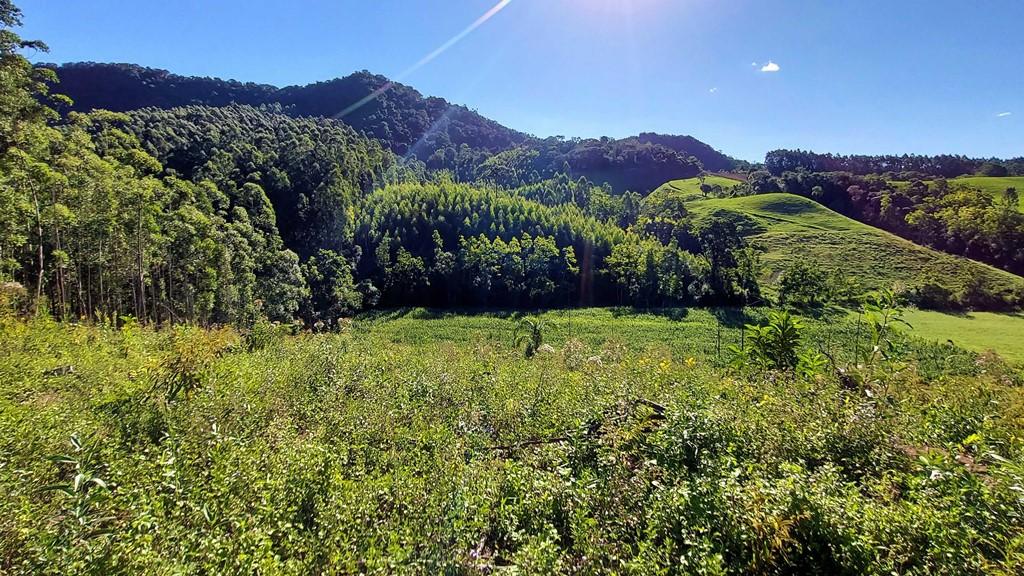 Fazenda à venda, 100000m² - Foto 24