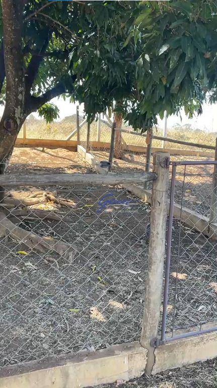 Chácara, 3 quartos, 5000 m² - Foto 29