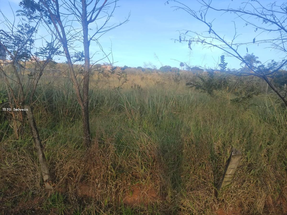 Terreno à venda, 2500m² - Foto 5