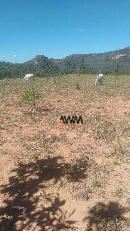 Fazenda-Sítio-Chácara, 454 hectares - Foto 3