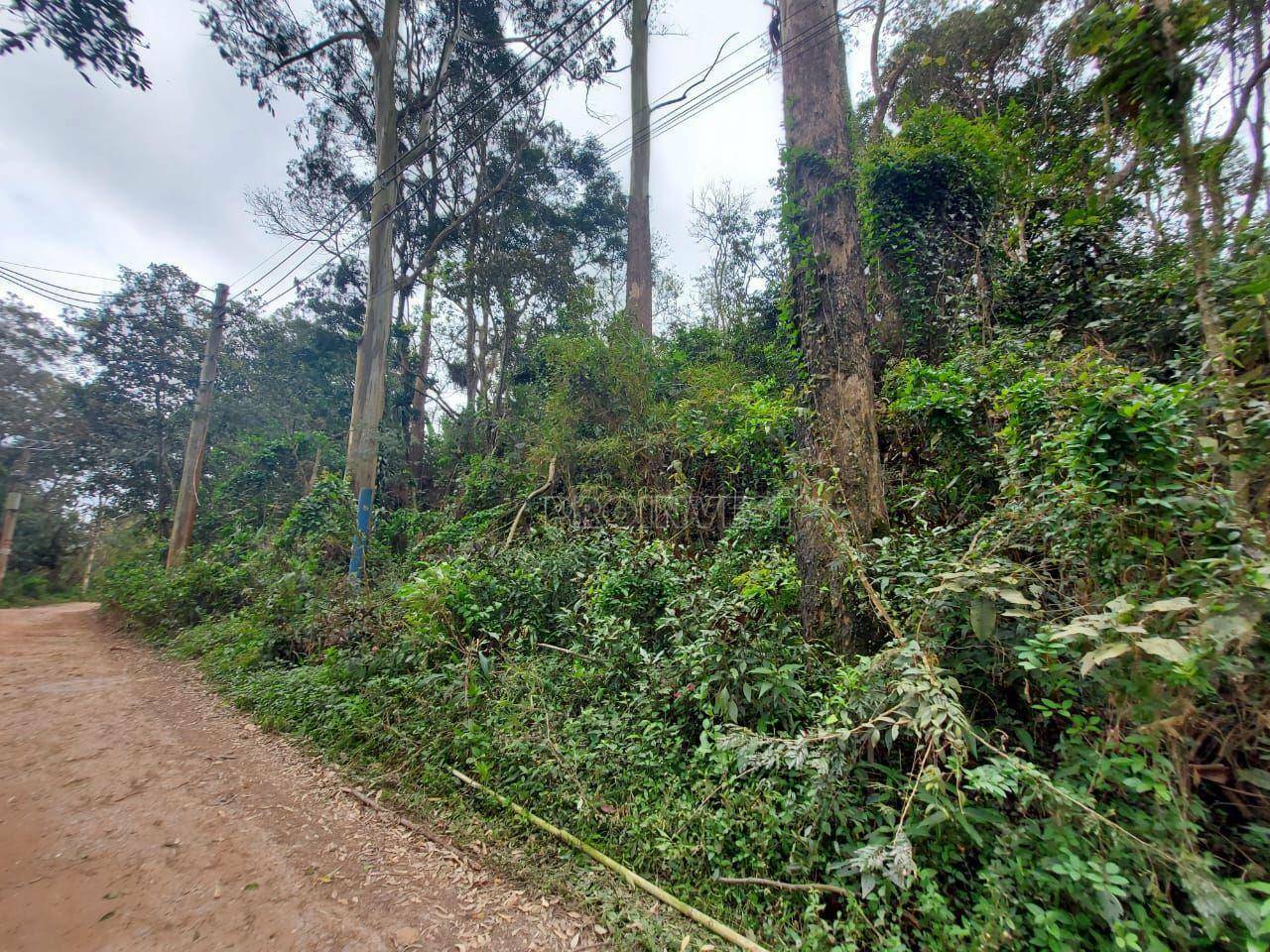 Loteamento e Condomínio à venda, 1560M2 - Foto 12