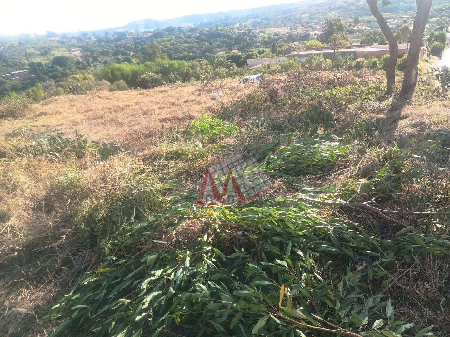 Terreno à venda, 10791M2 - Foto 4