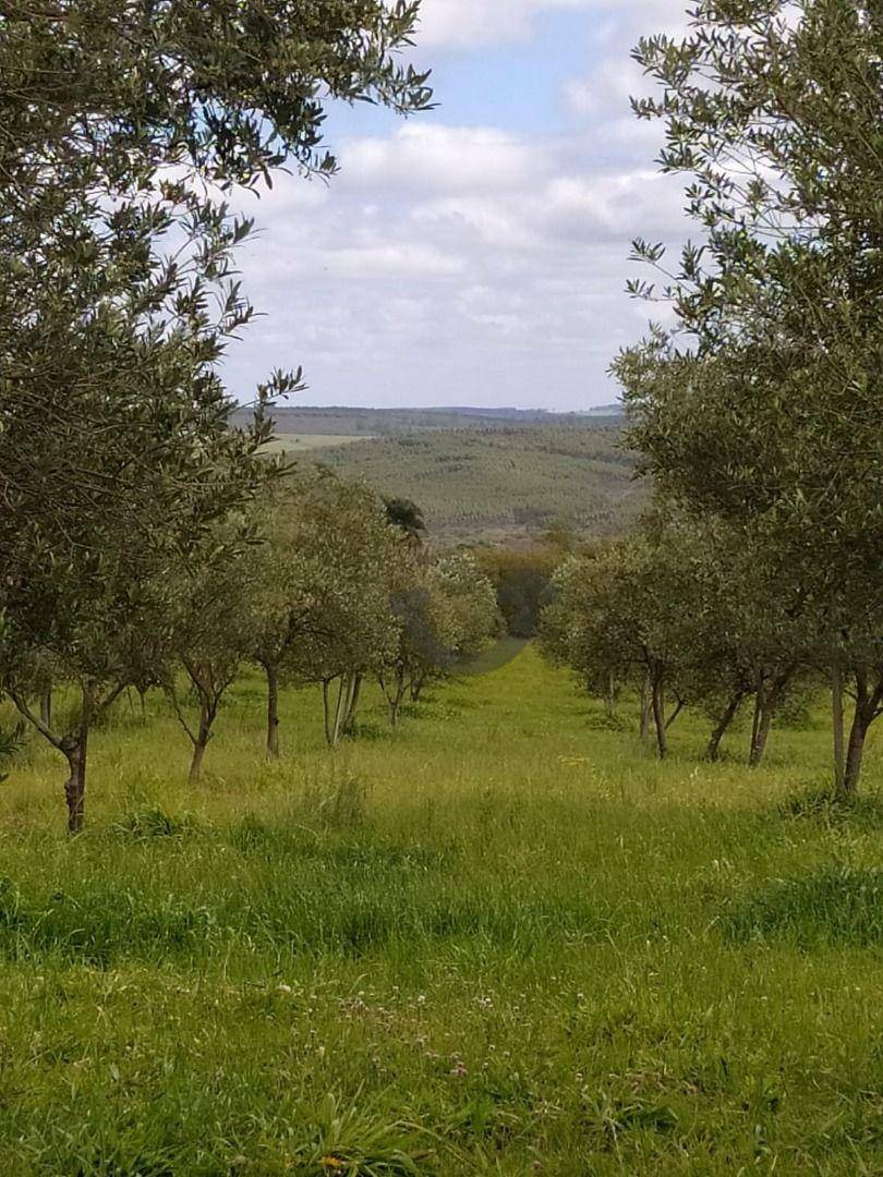 Terreno à venda, 460000M2 - Foto 7