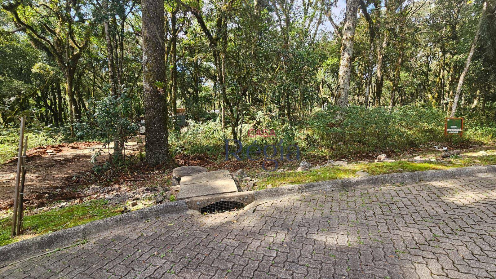 Loteamento e Condomínio à venda, 646M2 - Foto 1