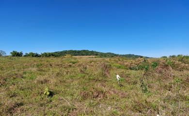 Fazenda à venda com 3 quartos, 387200m² - Foto 25