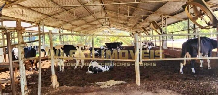 Fazenda à venda com 7 quartos, 196m² - Foto 5