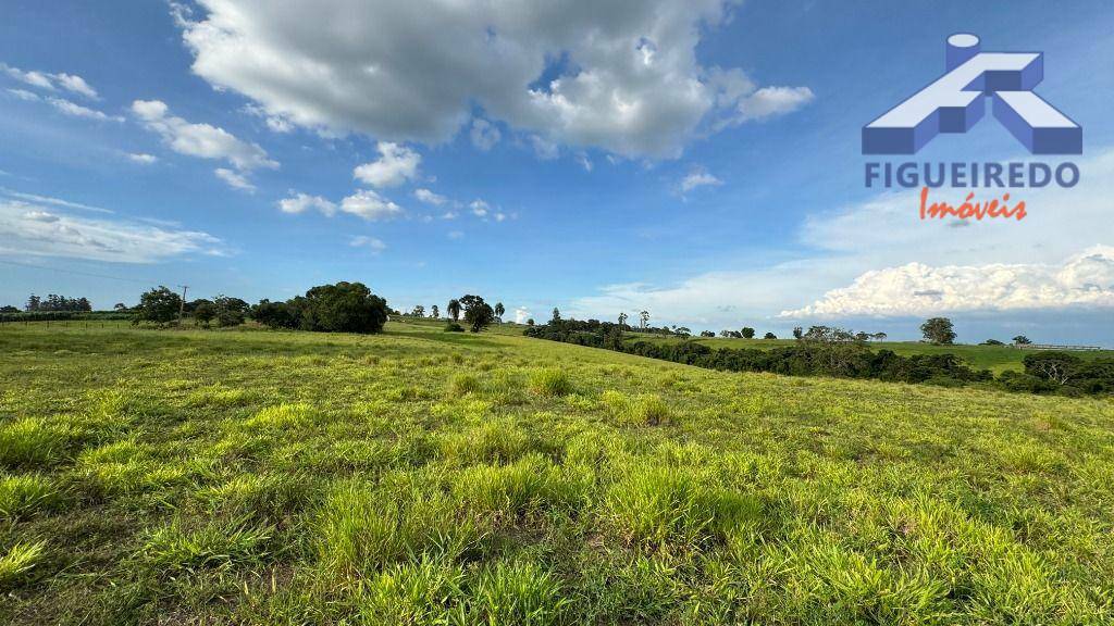 Terreno à venda, 257000M2 - Foto 1