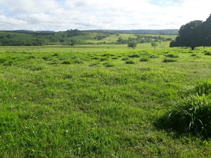 Fazenda à venda, 280m² - Foto 12