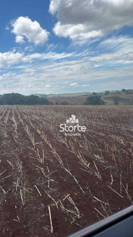 Fazenda à venda, 119420000M2 - Foto 8