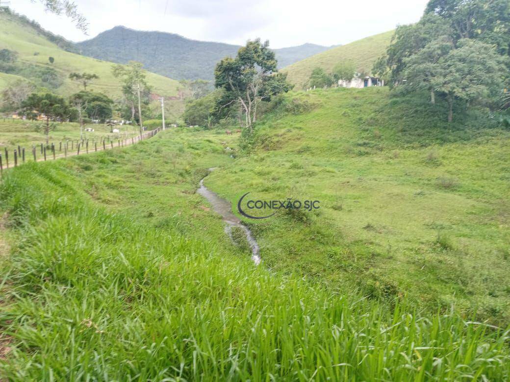 Fazenda à venda com 2 quartos, 1355200M2 - Foto 8