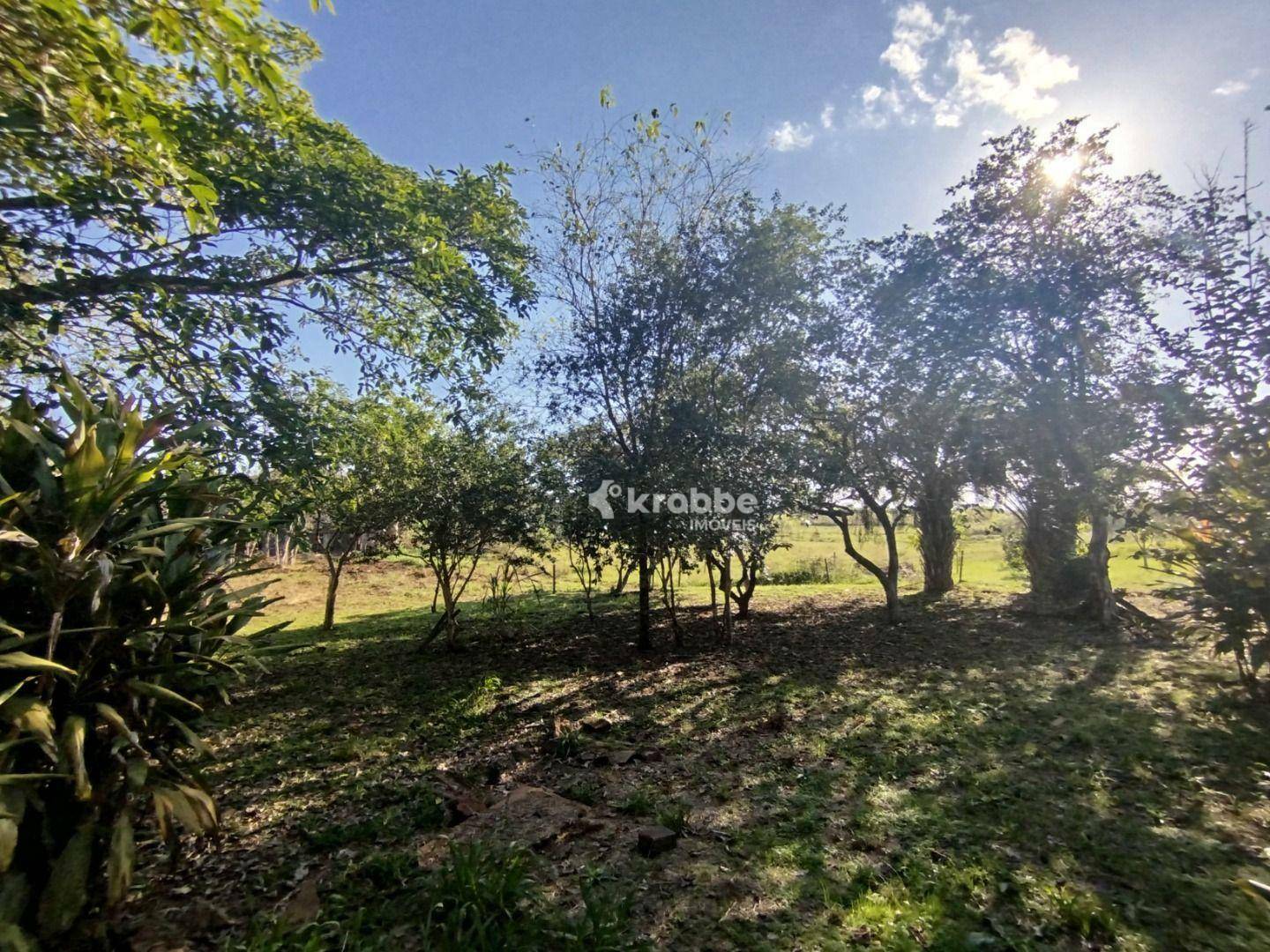 Chácara à venda com 2 quartos, 16000M2 - Foto 5