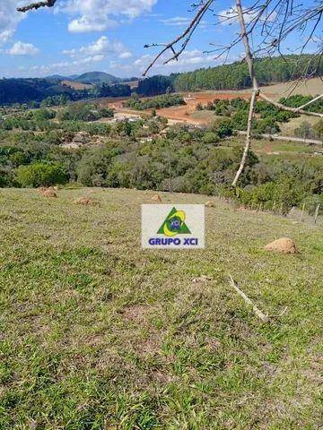 Sítio, 11 hectares - Foto 10