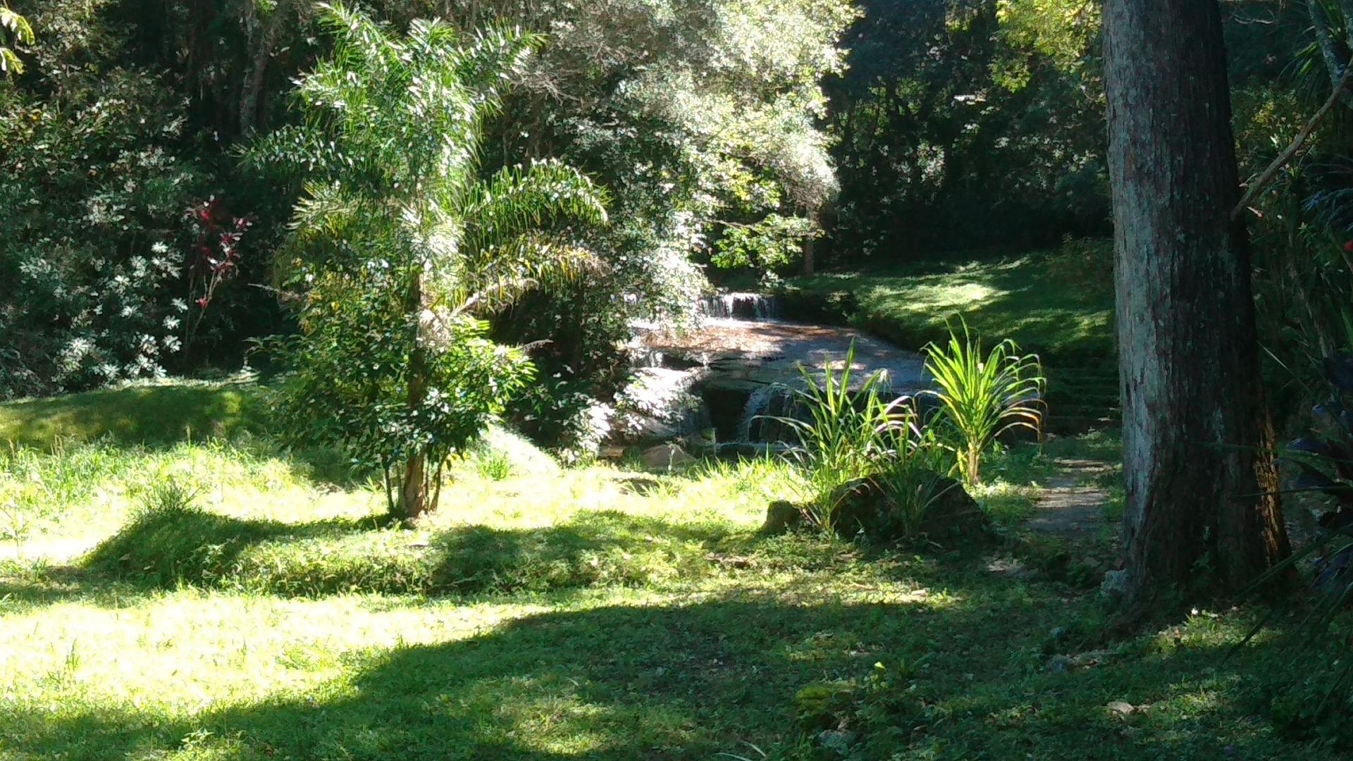 Sítio à venda, 120000M2 - Foto 23