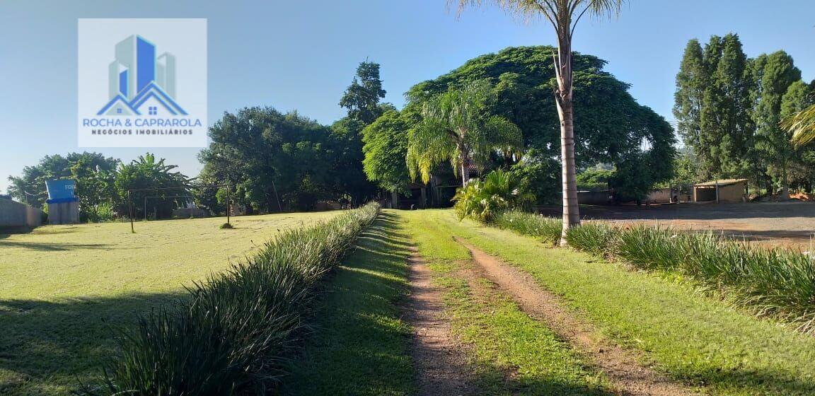 Fazenda à venda com 3 quartos, 6000m² - Foto 4