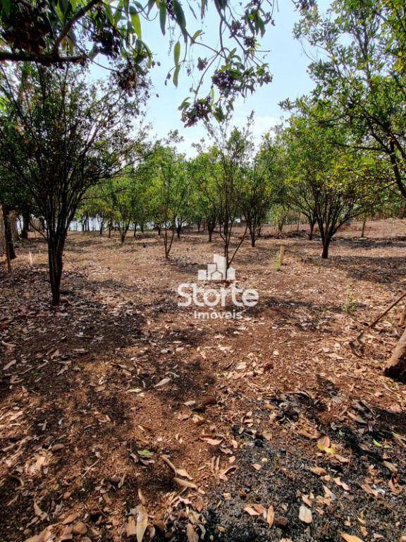 Fazenda à venda com 3 quartos, 70m² - Foto 11