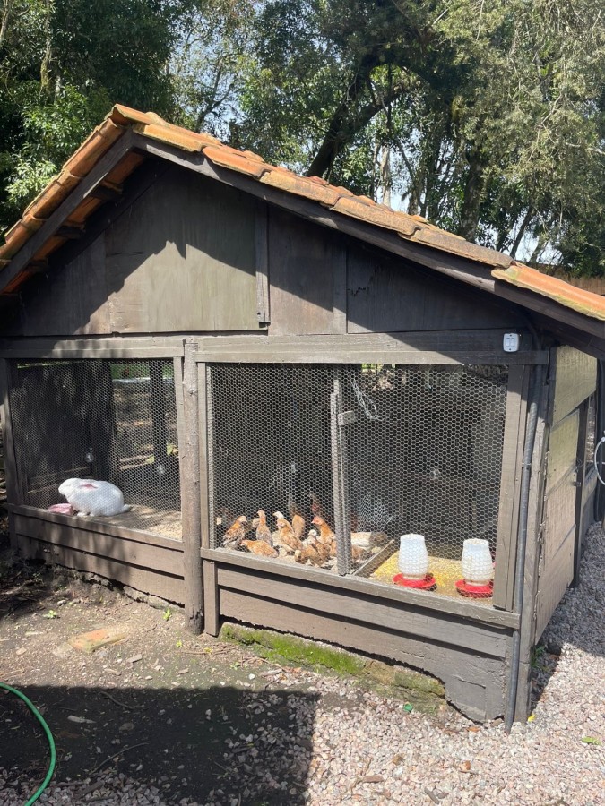 Chácara, 10000 m² - Foto 27