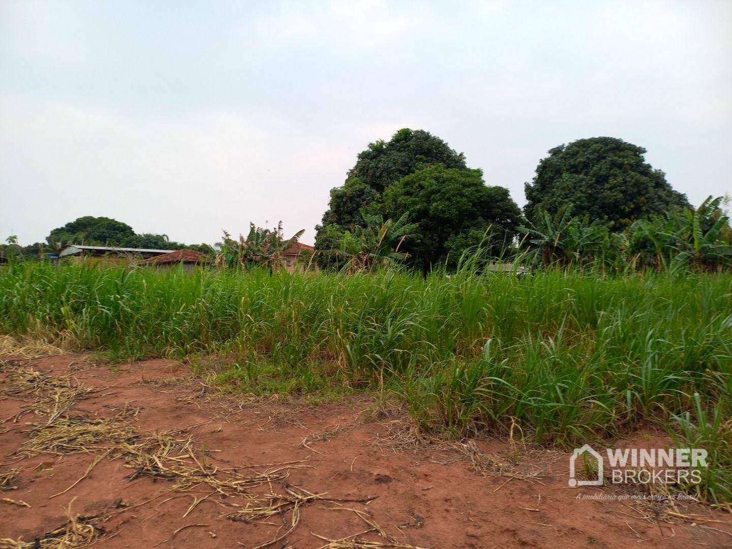 Chácara, 3 quartos, 2 hectares - Foto 17