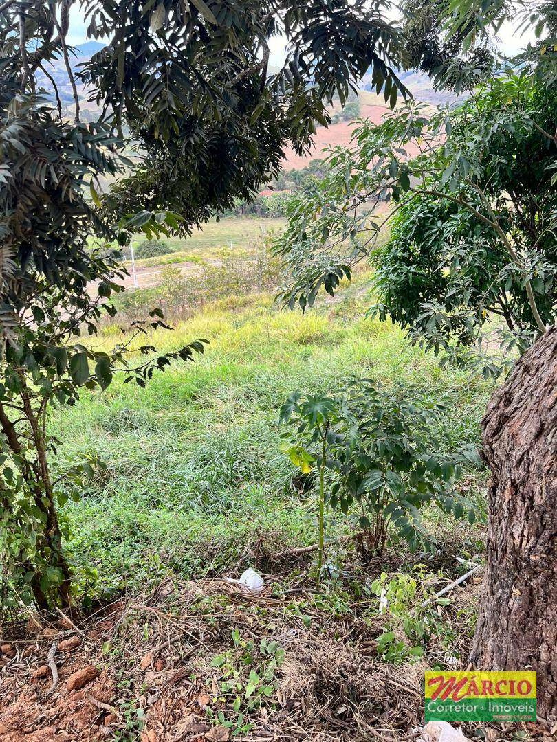 Loteamento e Condomínio à venda, 1250M2 - Foto 9