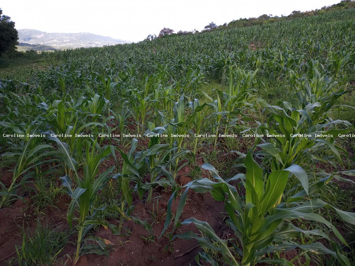 Fazenda à venda, 250000m² - Foto 28