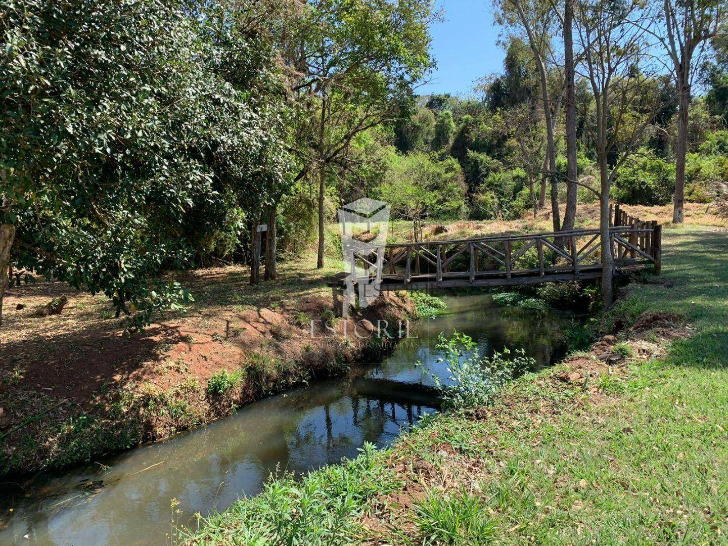 Sítio à venda com 1 quarto, 164560M2 - Foto 7