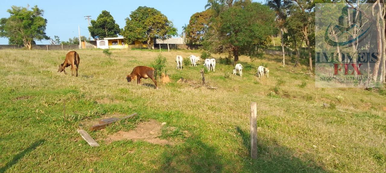 Fazenda à venda com 7 quartos, 600m² - Foto 27