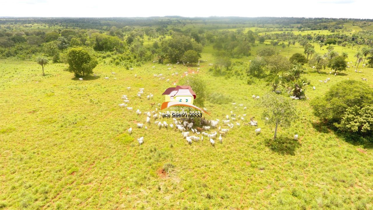 Fazenda à venda, 1m² - Foto 33