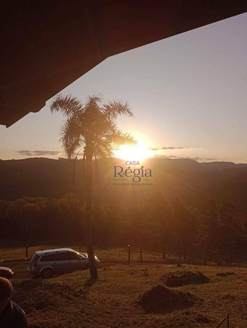 Sítio à venda com 3 quartos, 312229M2 - Foto 19