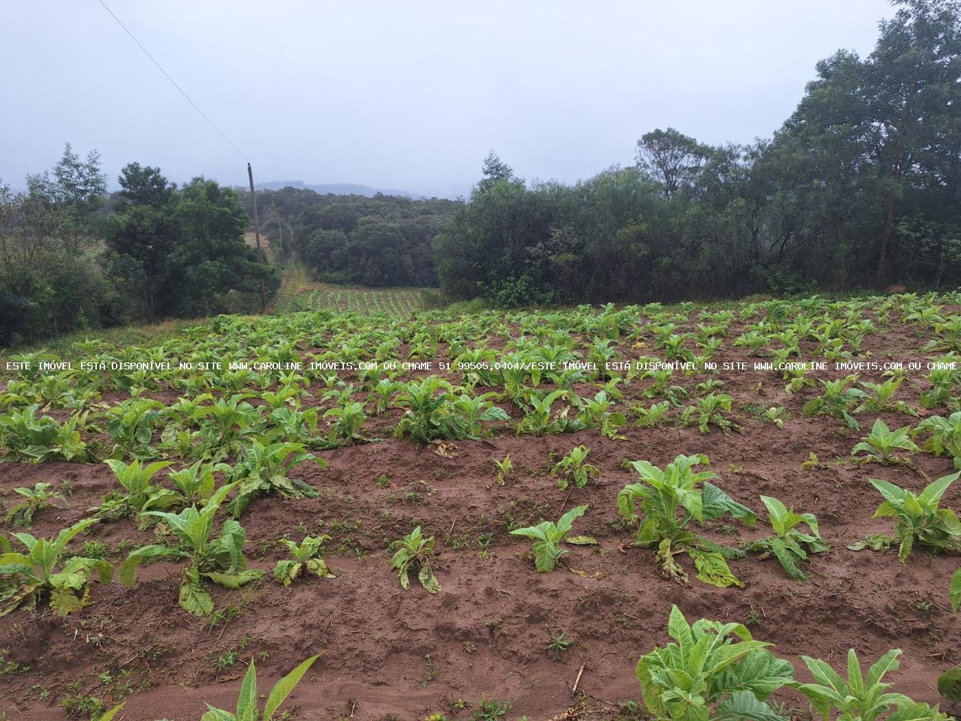 Loteamento e Condomínio à venda, 20000m² - Foto 3