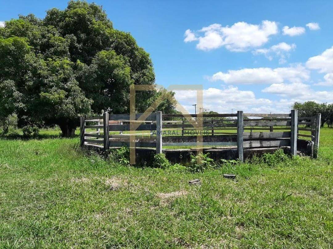 Haras e Área Rural Padrão à venda com 3 quartos, 3M2 - Foto 9