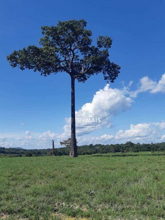 Fazenda à venda com 1 quarto, 14520000M2 - Foto 6